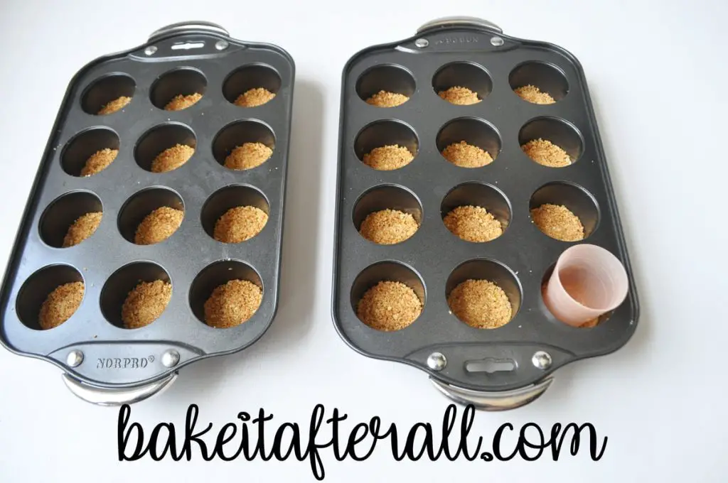 mini cheesecake pan filled with graham cracker crusts and a little cup to push them down