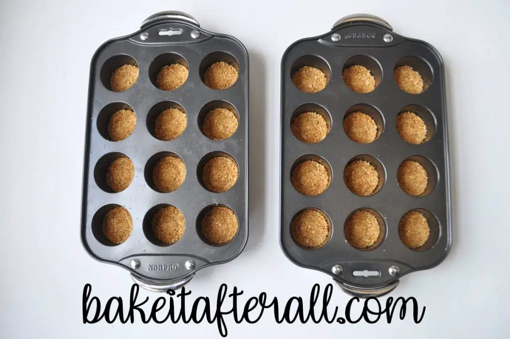 mini cheesecake pans filled with graham cracker crusts