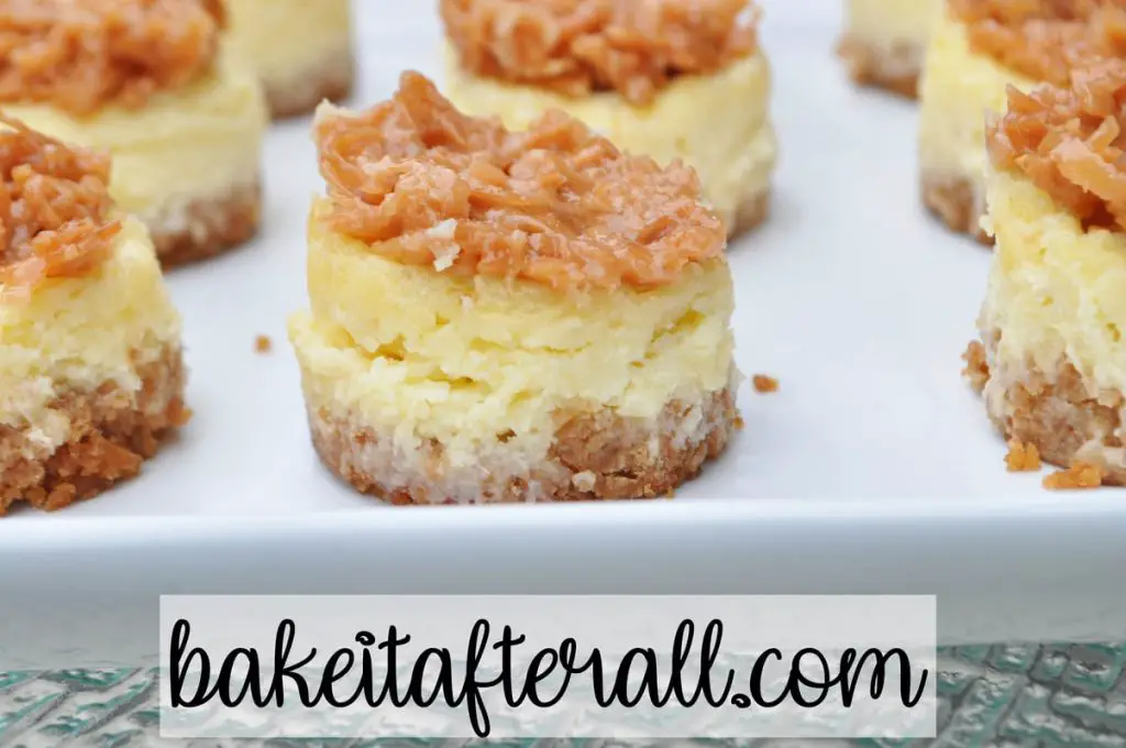 mini pina colada cheesecakes topped with candied coconut topping on a white plate