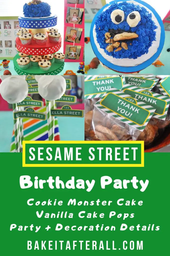 Sesame Street Birthday Party Pin