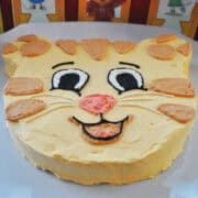 a cake decorated as Daniel Tiger's face on a white cake platter