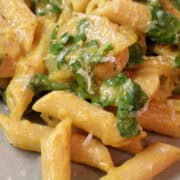 a plate filled with chicken sausage and penne in a pumpkin cream sauce