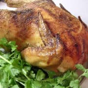 a southwestern roasted chicken on a platter with cilantro underneath it