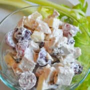 a glass bowl of Harvest Chicken Salad with celery next to it