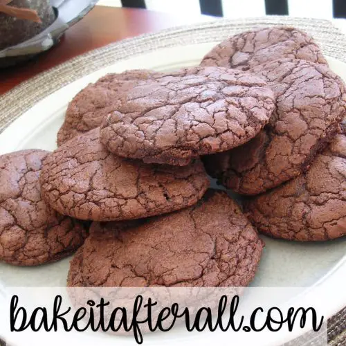 thick and chewy double chocolate cookies