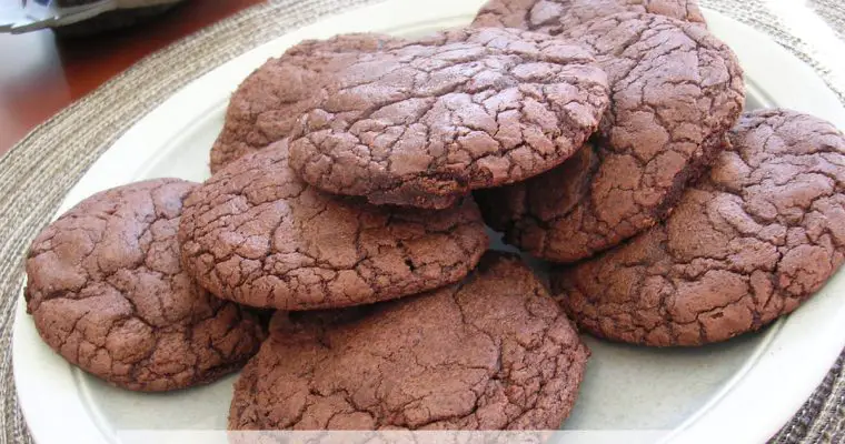 Thick and Chewy Double Chocolate Cookies
