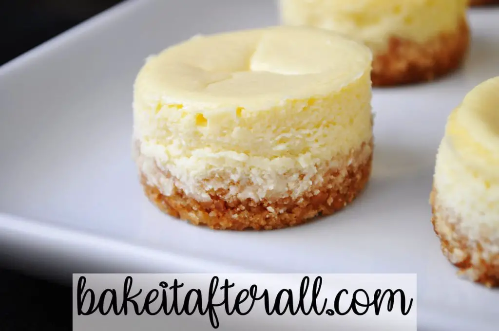 mini New York style cheesecake without topping