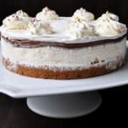 Chocolate Chip Cookie Ice Cream Cake on a white cake platter