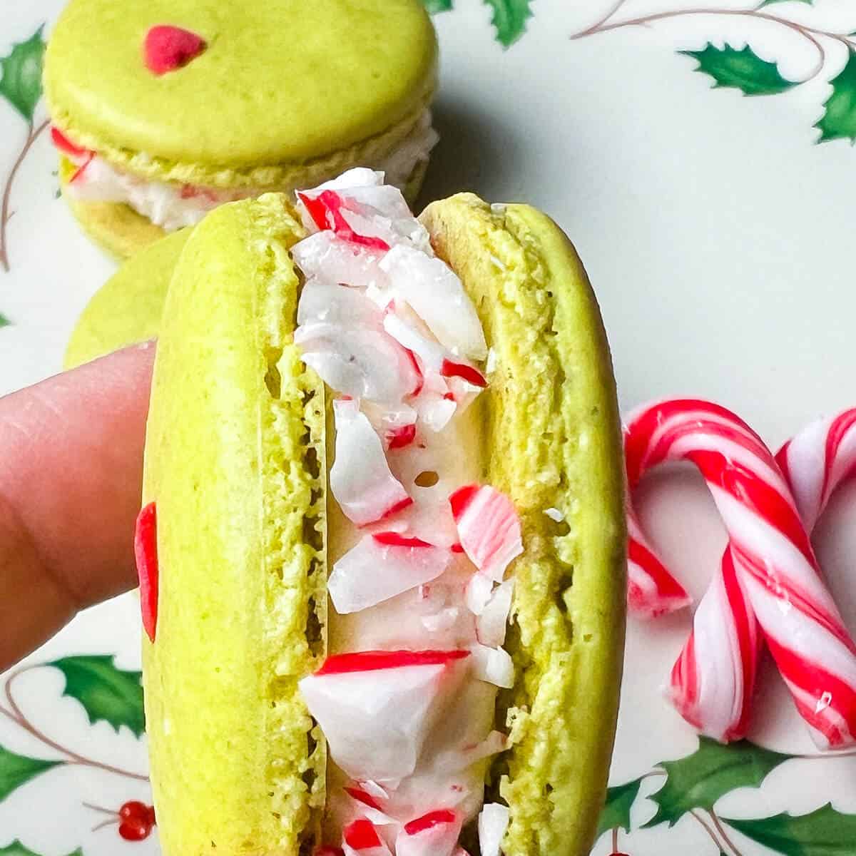 a macaron held up to show crushed peppermint on the edges of the filling