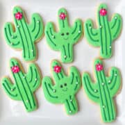 cute cacti cookies with little faces drawn on