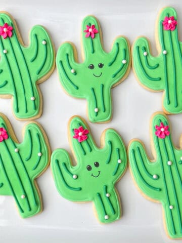 cute cacti cookies with little faces drawn on