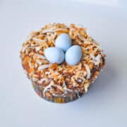 a bird's nest cupcake on a white plate