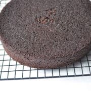 a round layer of chocolate cake on a cooling rack