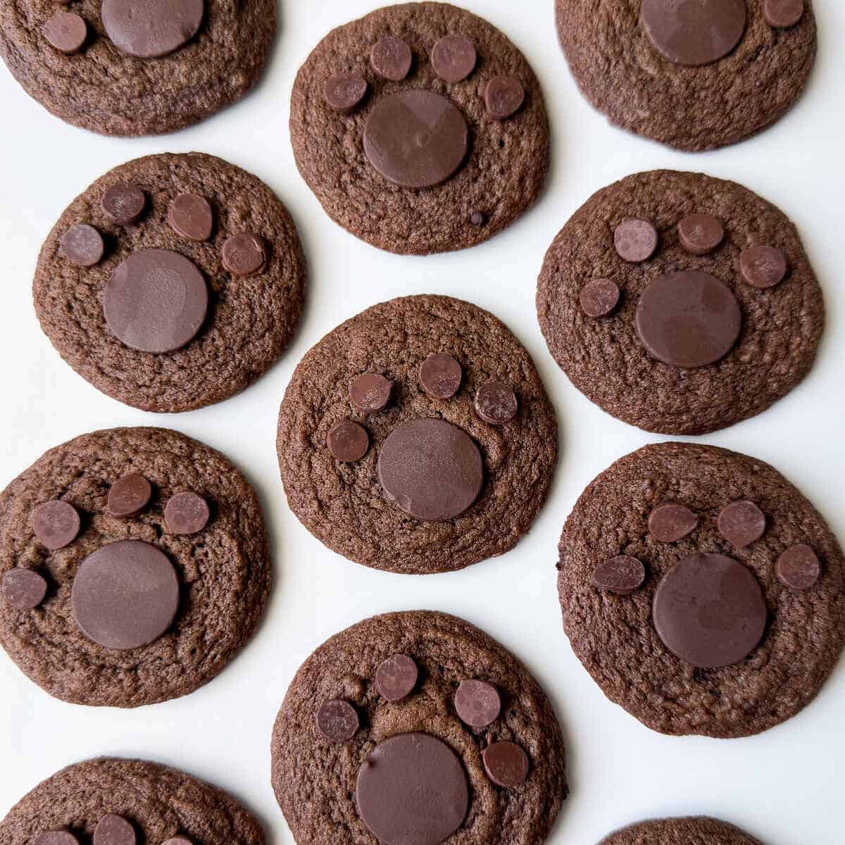 Chocolate Brown Bear Paw Cookies