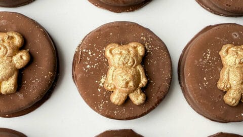 Golden-Teddy-Bear-Chocolate-