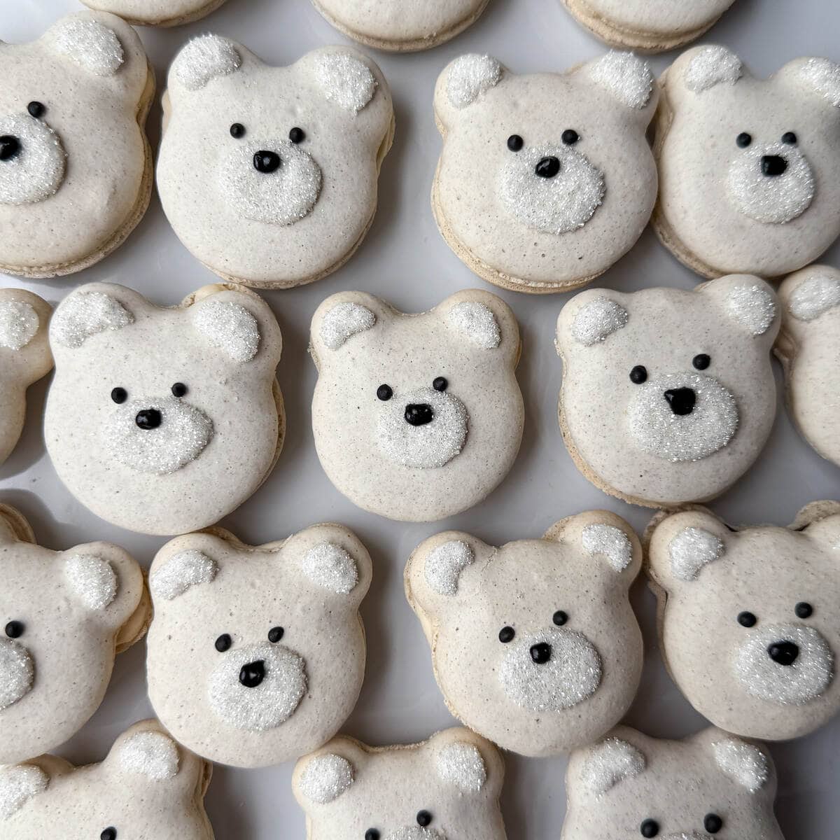 polar bear macarons on a white plate
