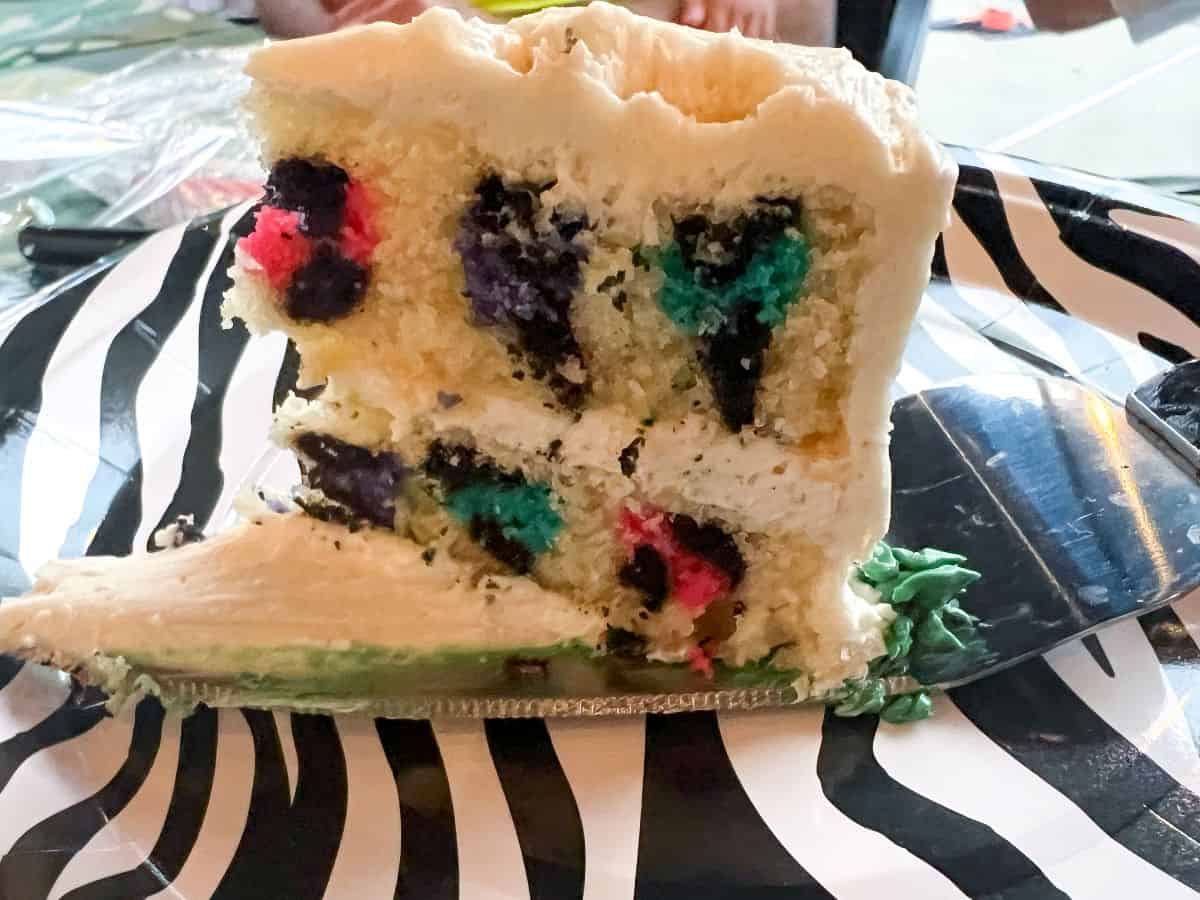 a rainbow leopard print slice of cake on a zebra print paper plate