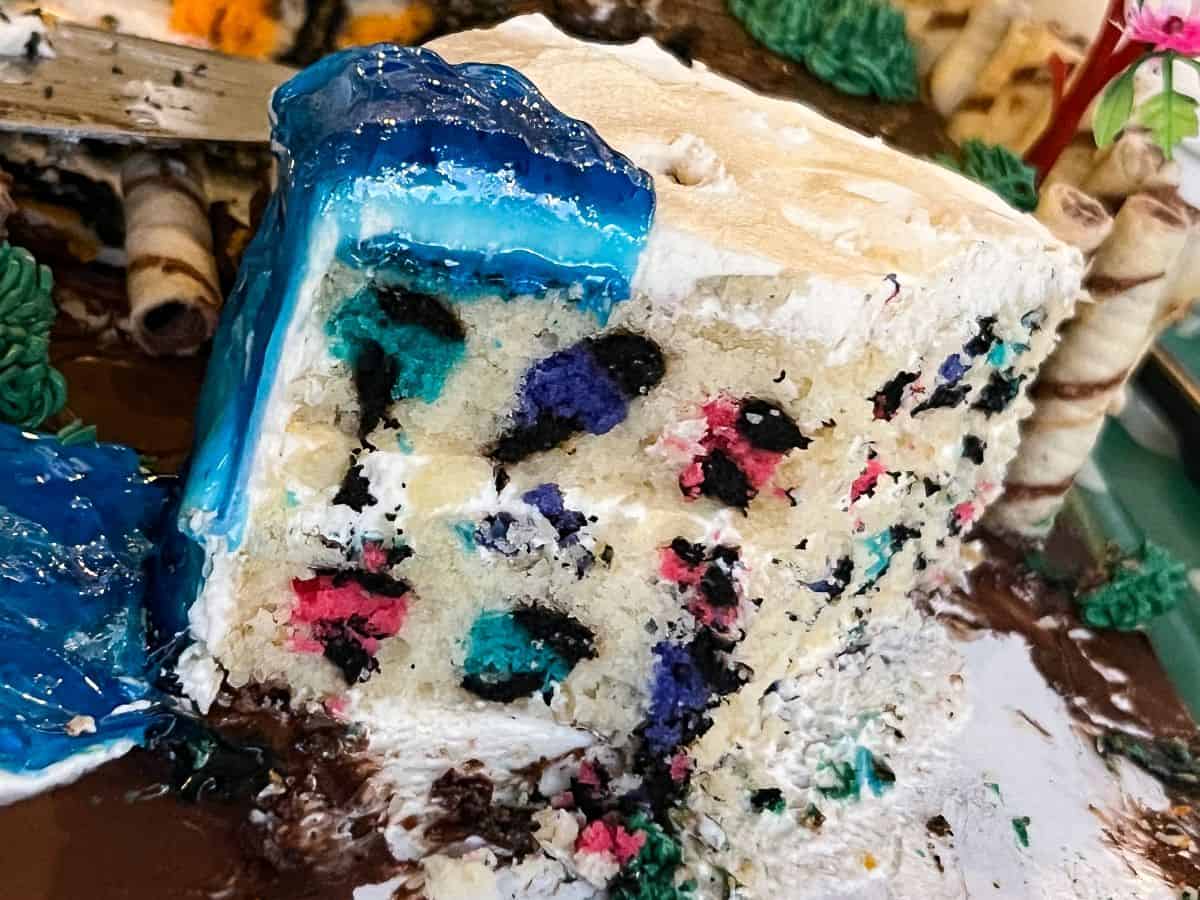 a rainbow leopard print cake inside a zoo cake