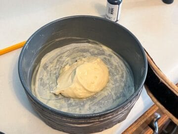a mound of cake batter in the bottom of a round cake pan
