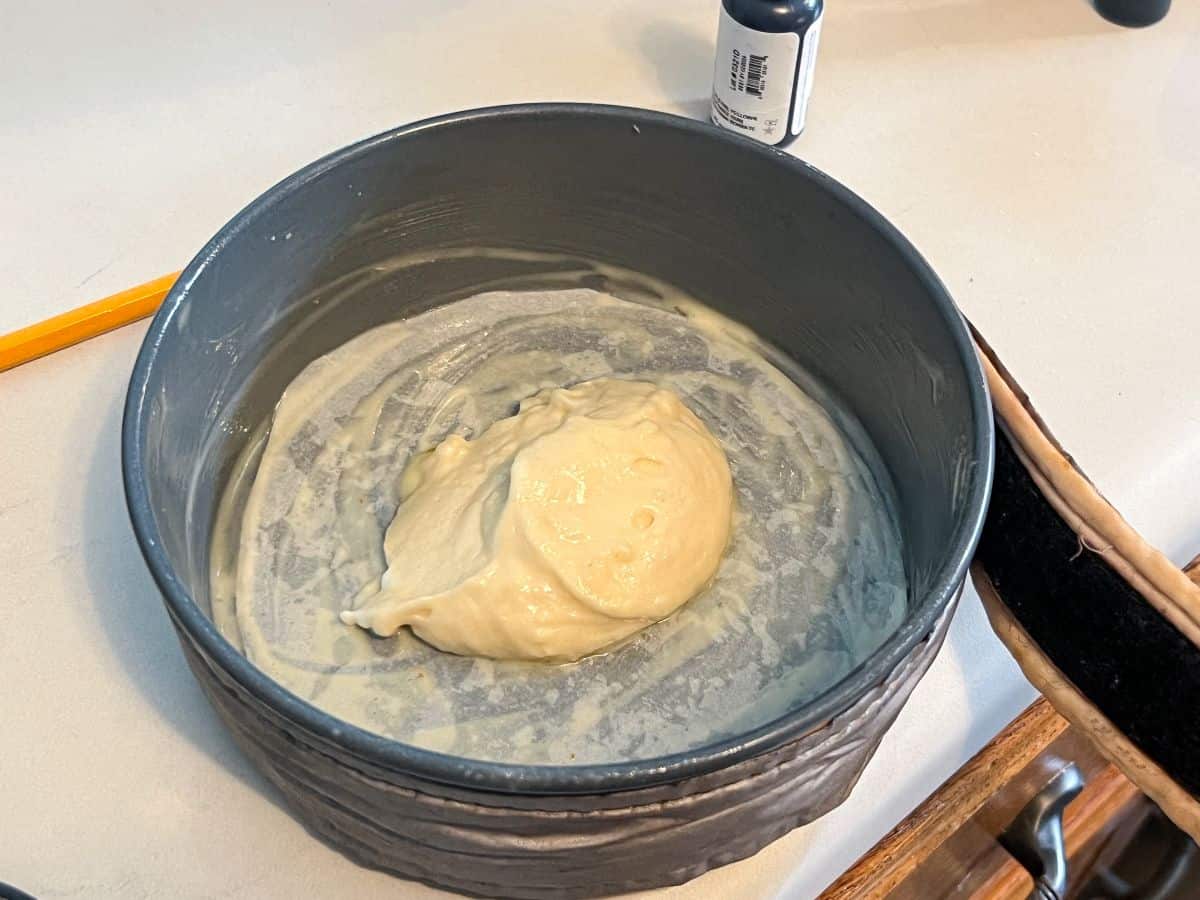 a mound of cake batter in the bottom of a round cake pan