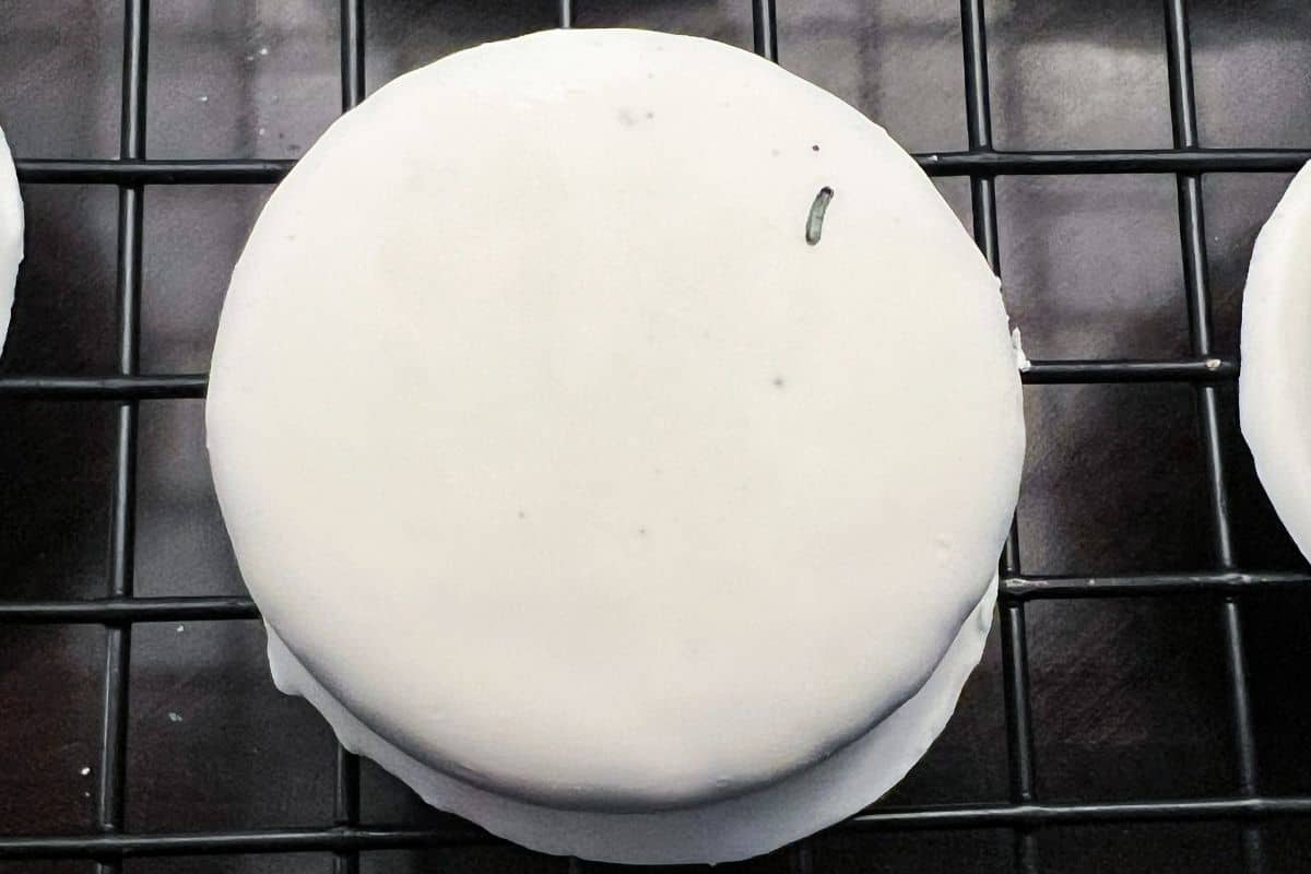 a white fudge covered Oreo with an antenna drawn on with a black edible marker