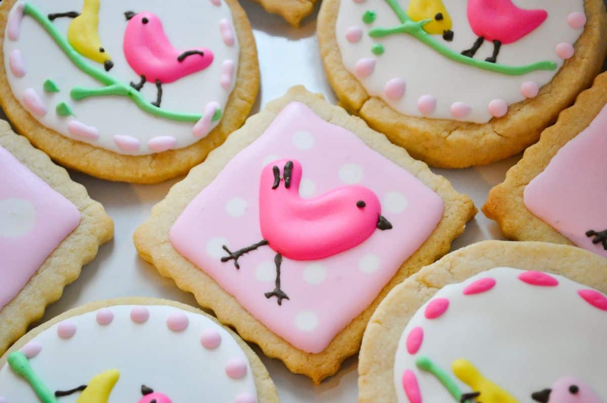 cute pastel Penelope bird cookies on a white plate