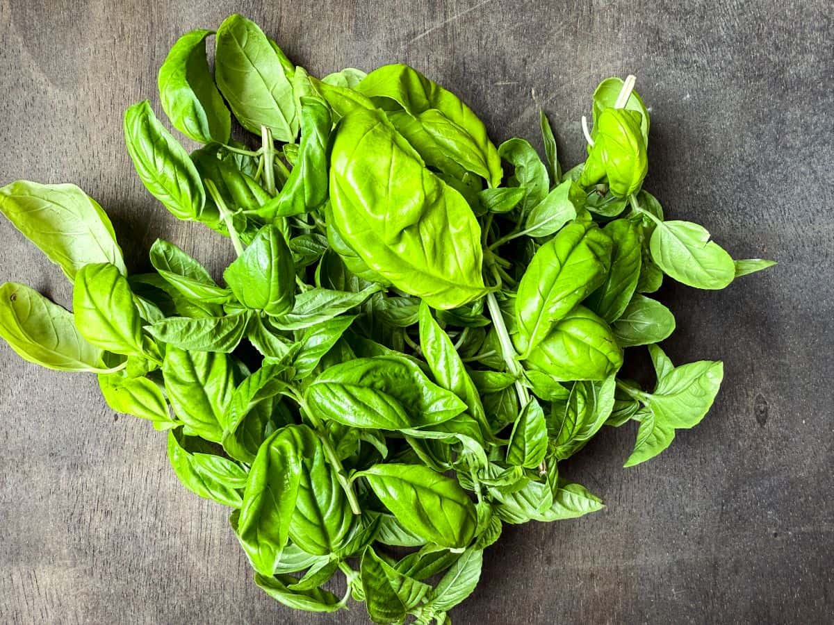 fresh basil on a dark wood surface