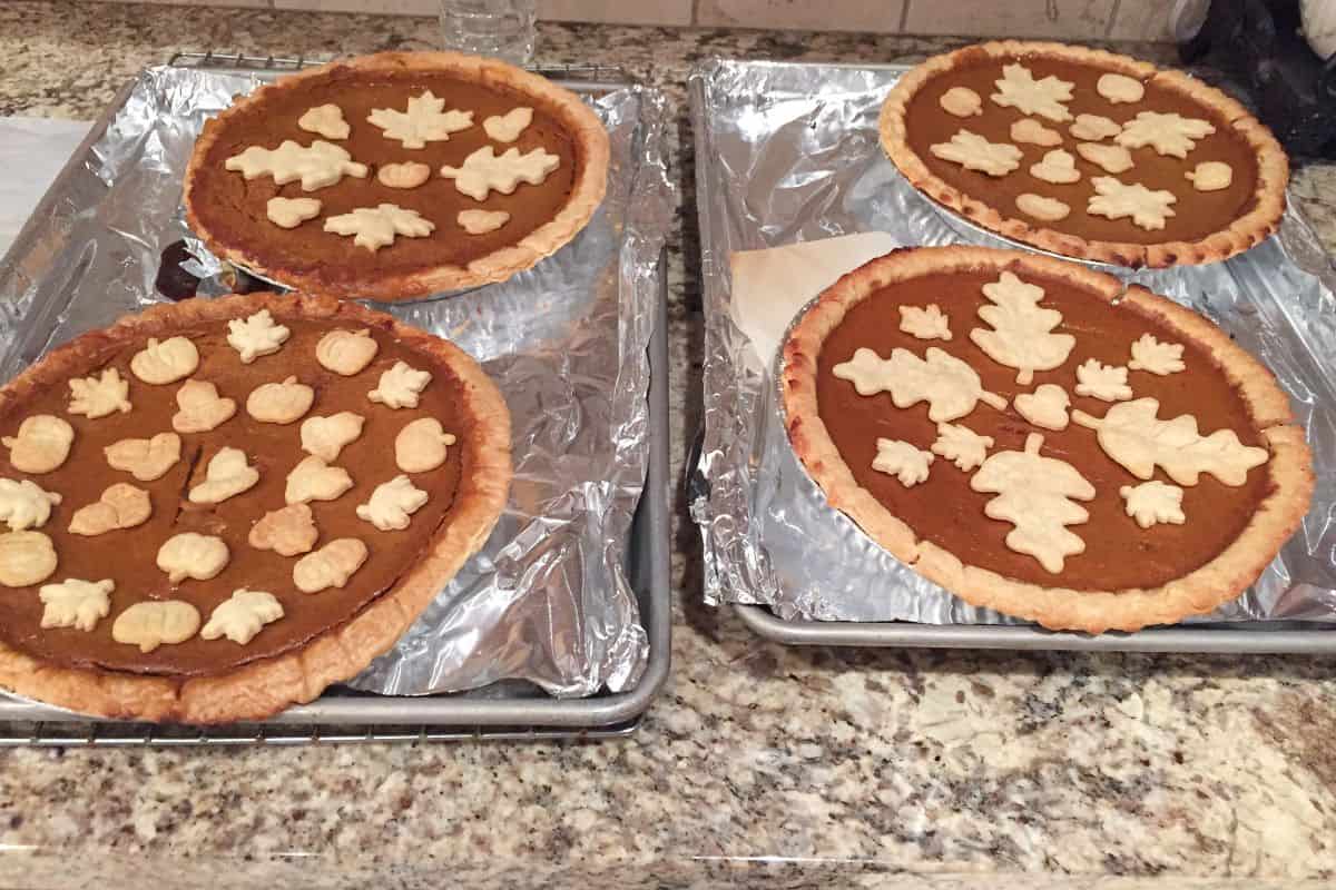 4 pumpkin pies on sheet pans