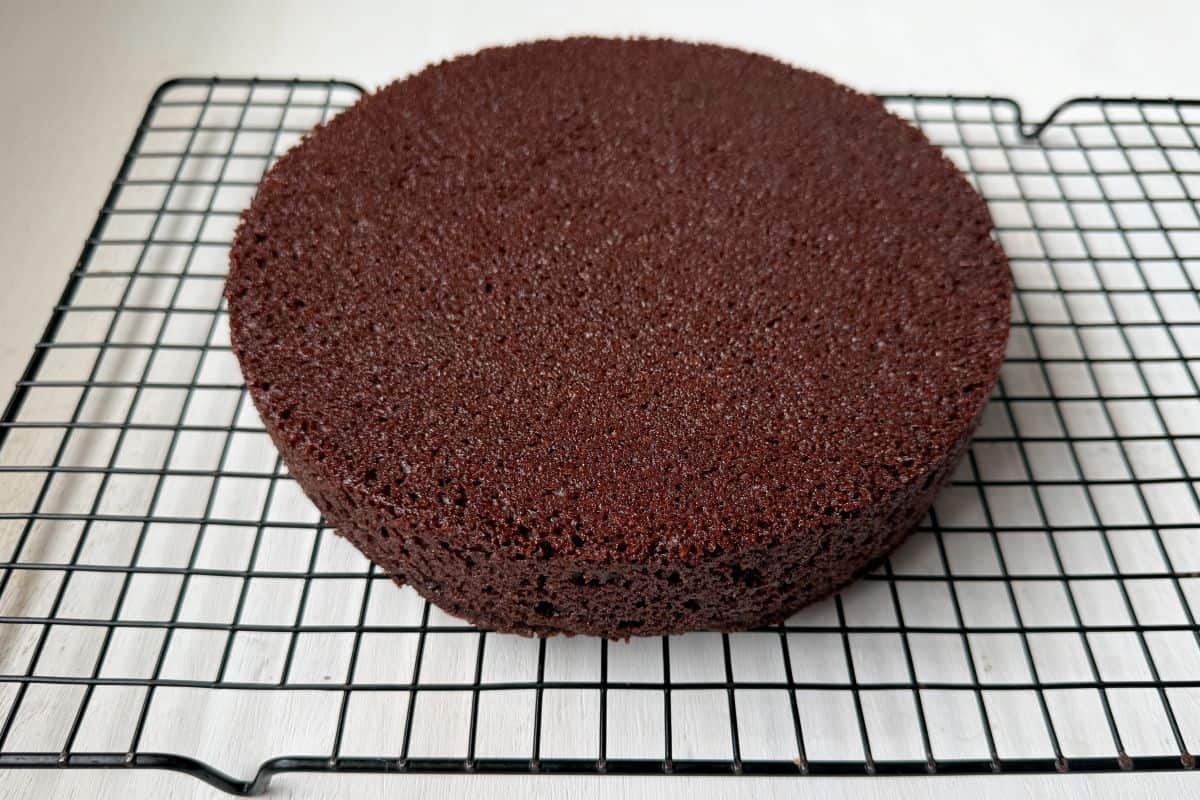 a 9-inch round chocolate cake on a cooling rack