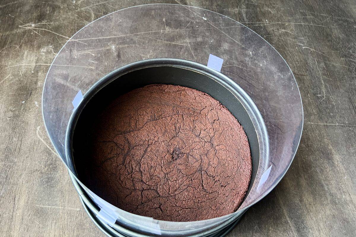 a brownie crust in a springform pan with an acetate collar on top