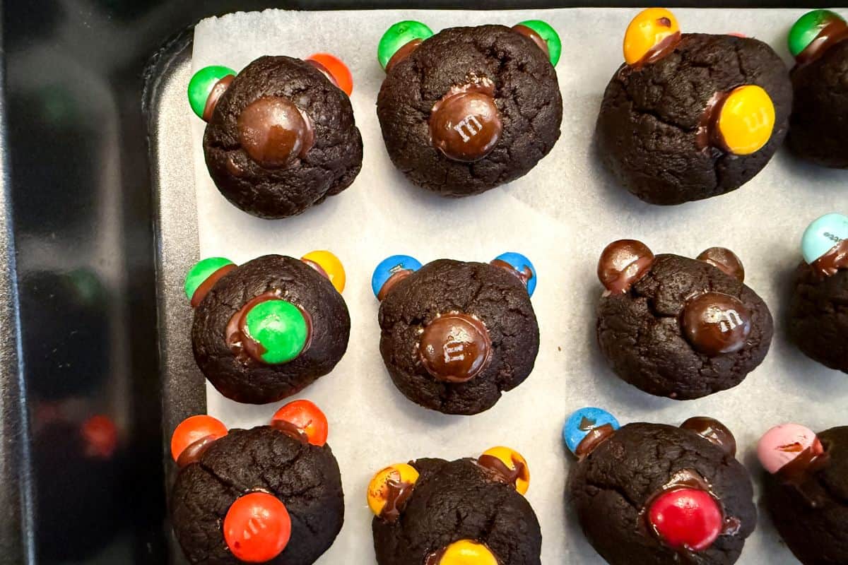 chocolate cake balls each with 2 M&M ears and 1 nose