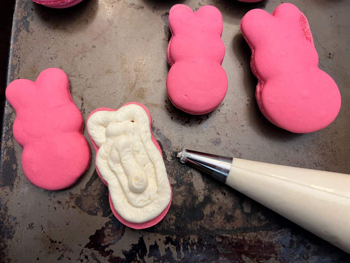 pink bunny peep macaron with buttercream on the bottom shell next to a piping bag
