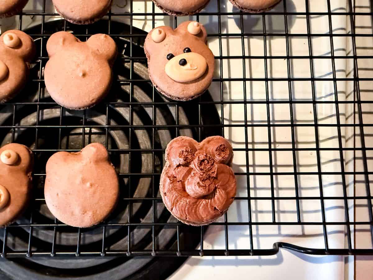 whipped ganache piped on the bottom shell of chocolate teddy bear macarons