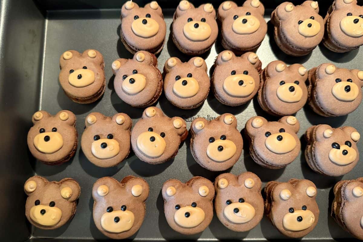 a single layer of Teddy Bear Macarons in a cake pan