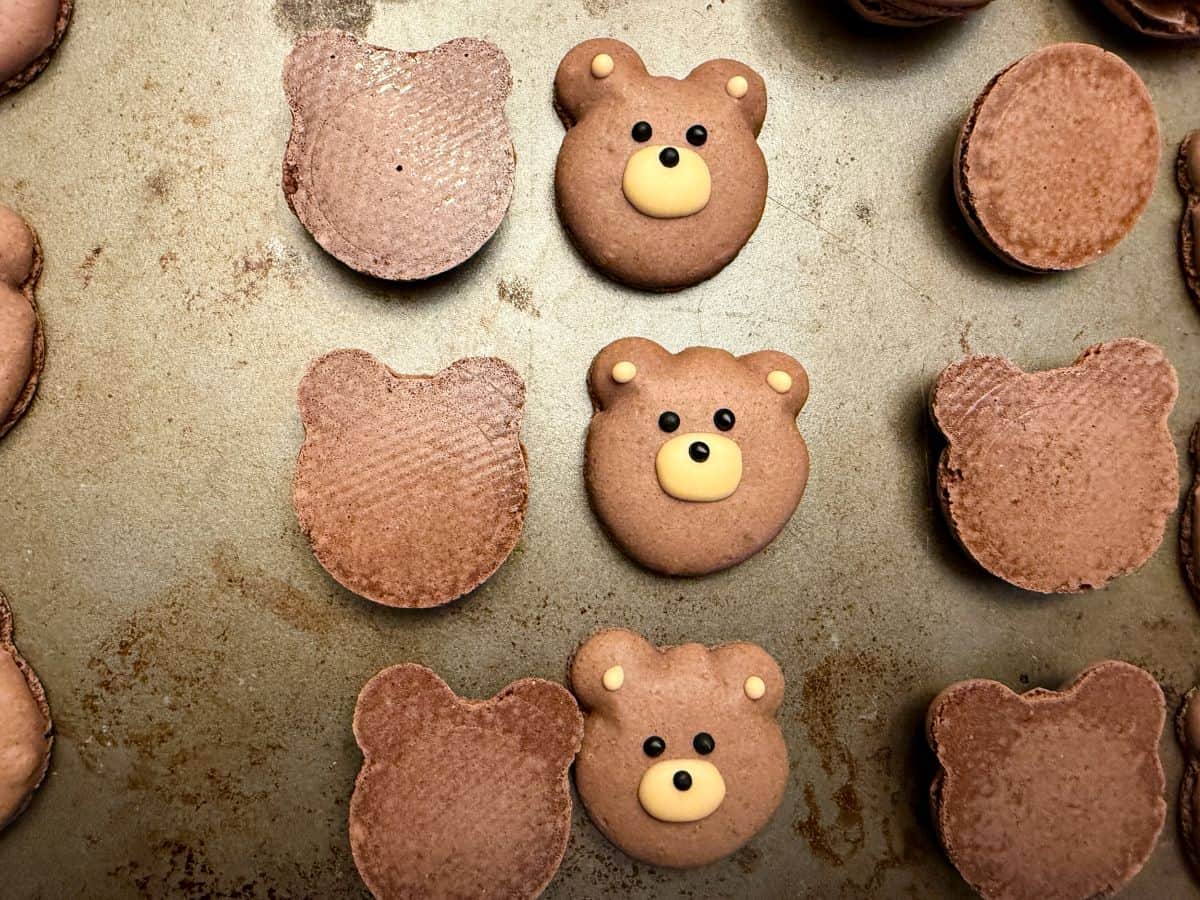 teddy bear macaron shells with faces on them lined up in pairs