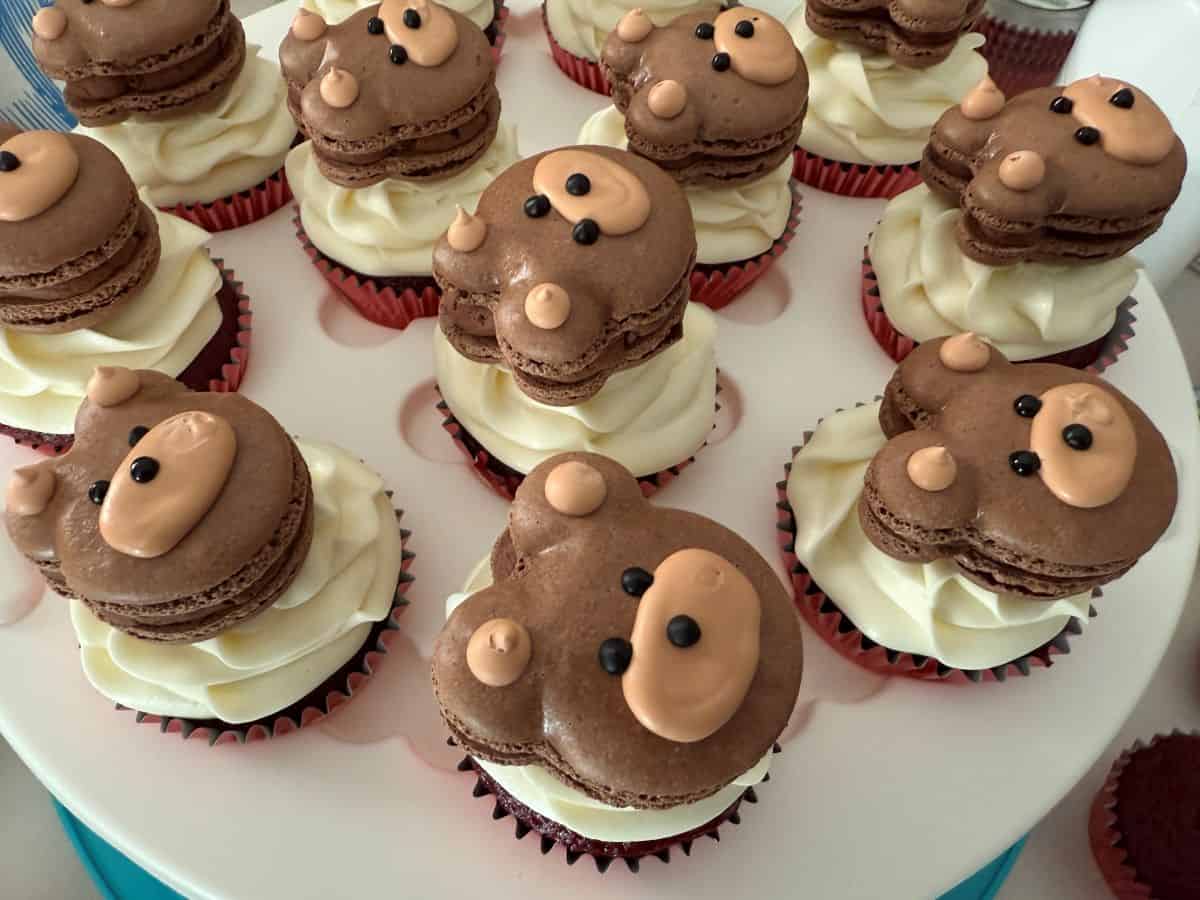 Chocolate Teddy Bear Macarons on top of cupcakes