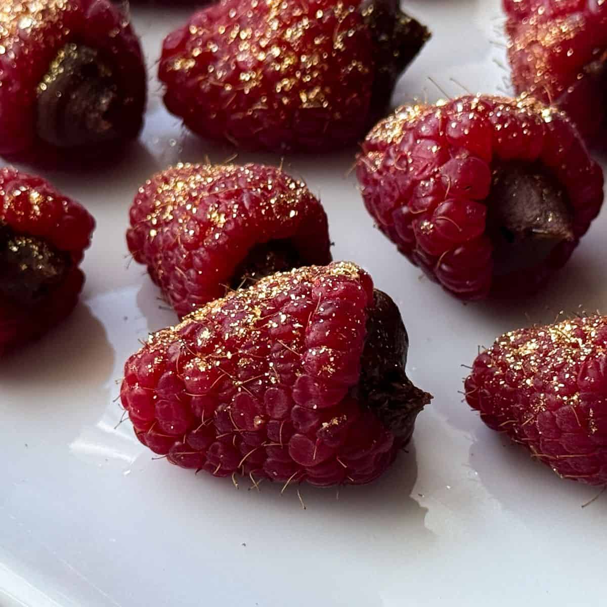 chocolate truffle raspberries with gold luster dust on them