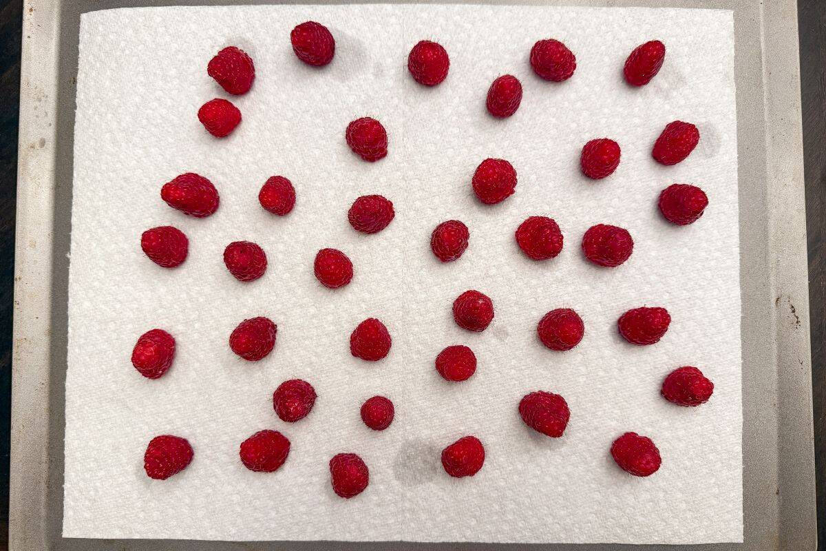 raspberries drying upside down on a paper towel lined cookie sheet
