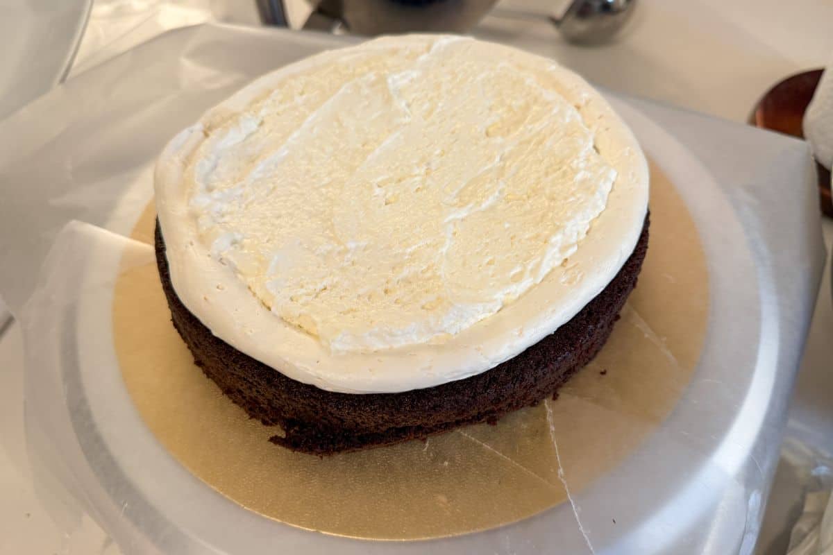 a single layer of chocolate cake on a cake stand that is covered with a border of buttercream with whipped cream inside