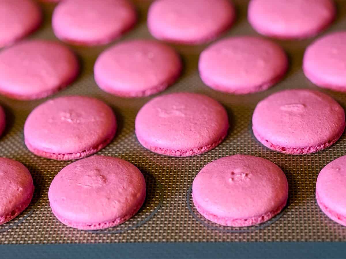 pink macaron shells baked on a macaron mat