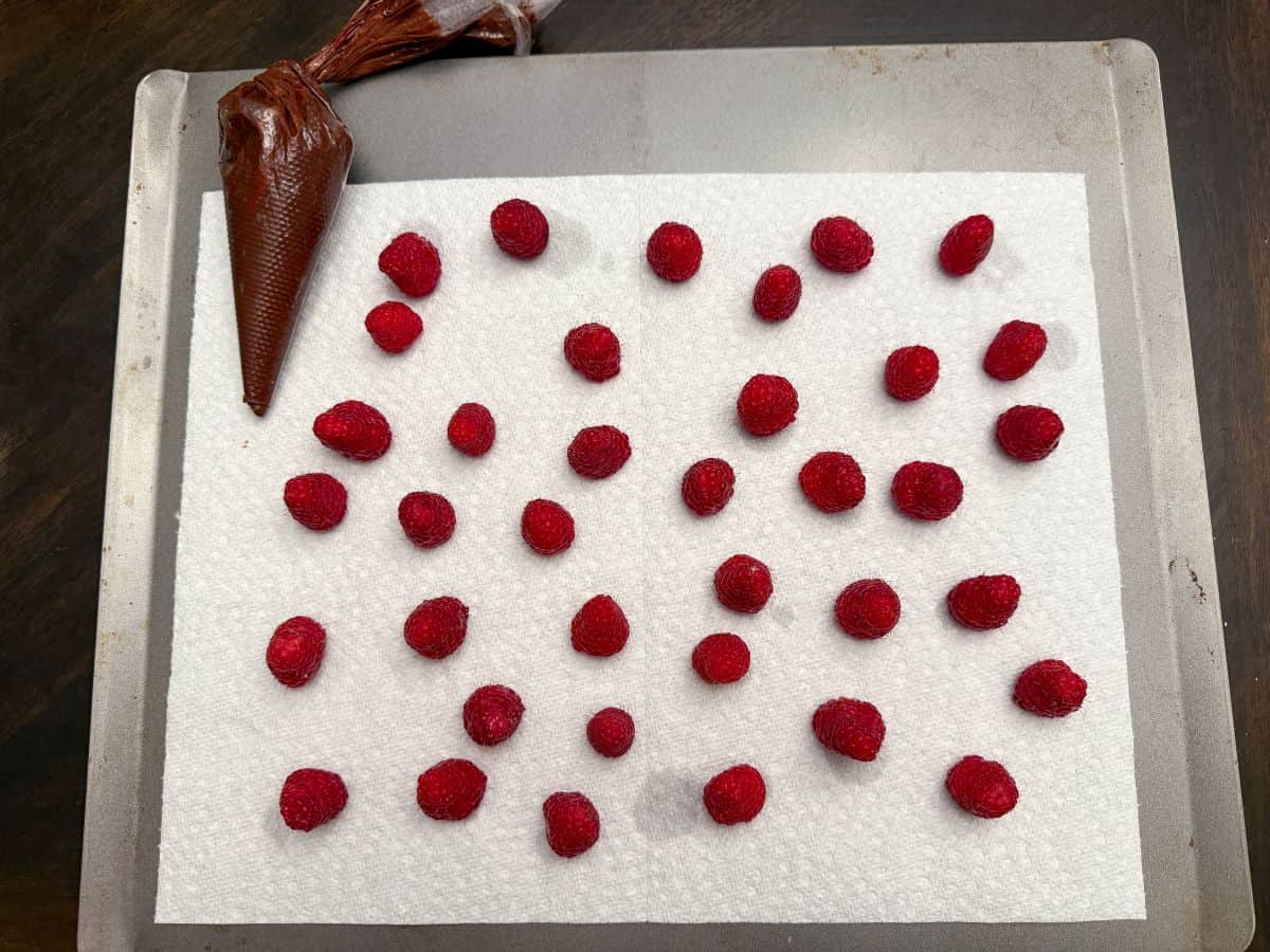 washed raspberries drained upside down on a paper towel lined cookie sheet with a piping bag of chocolate ganache next to it