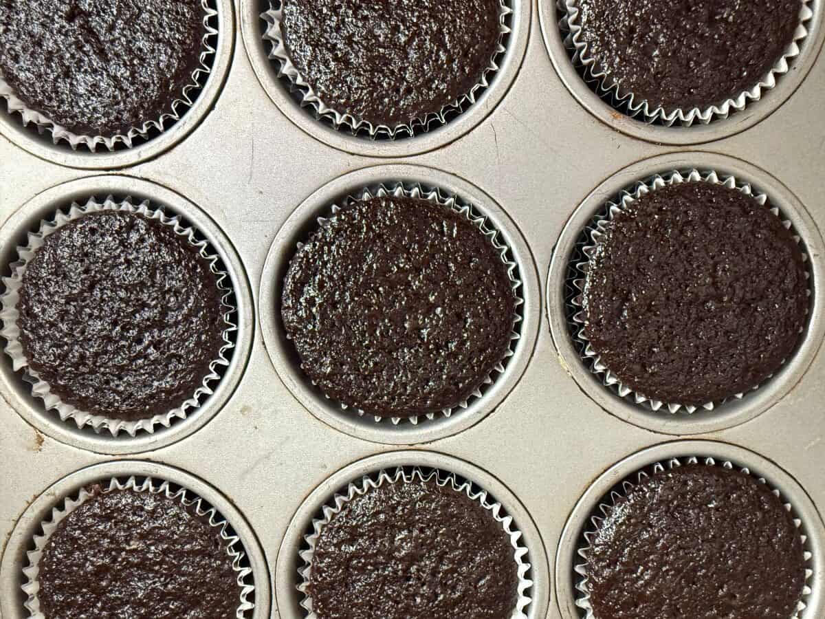 chocolate cupcakes in a muffin pan