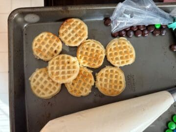 Eggos MINIS cut into individual mini waffles