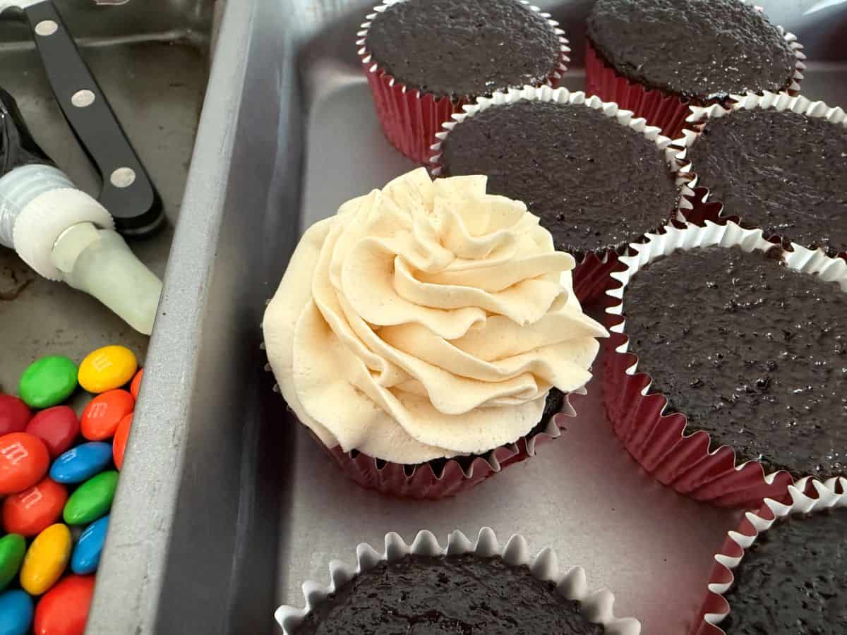 a chocolate cake with a mound of vanilla buttercream piped on top