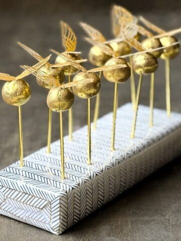 Golden Snitch Brigadeiros on gold sticks in a cake pop display block