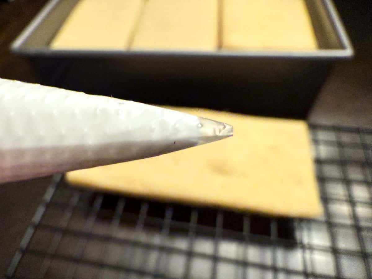 the tip cut off of a bag of outline consistency royal icing