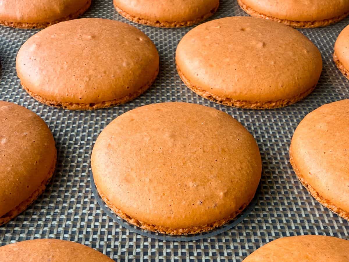 orange macaron shells on a macaron mat
