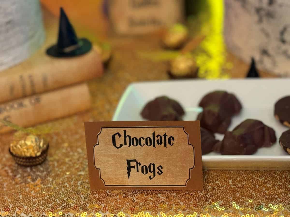 a Harry Potter dessert table with a sign that says "Chocolate Frogs" in front of a plate of chocolate frogs