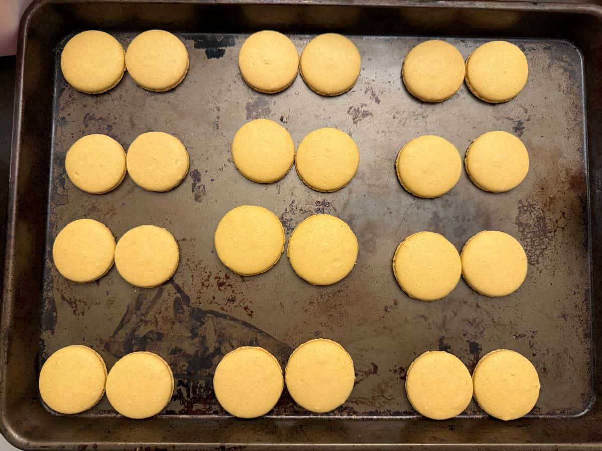 gold tinted macaron shells paired up by size