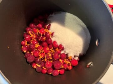 cranberries, sugar, orange juice and zest in a saucepan